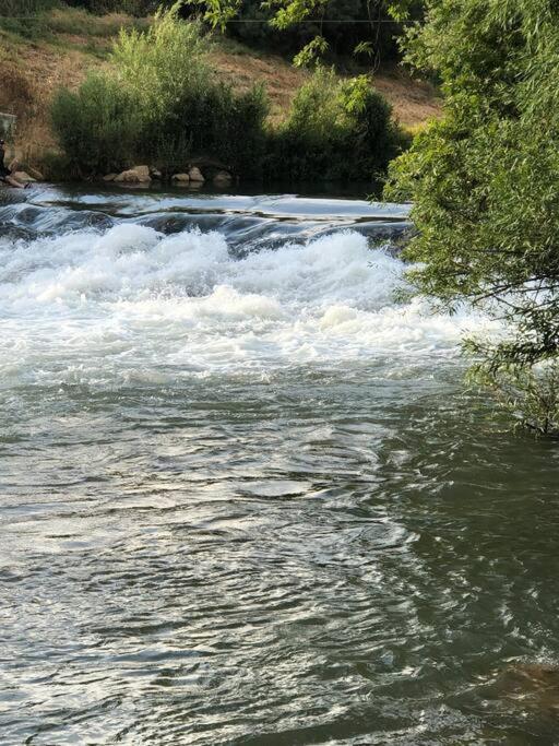 אצל שושנה Shoshana'S Place Amir Esterno foto